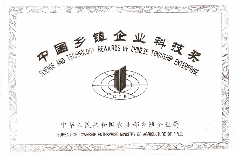 China Science and Technology Award